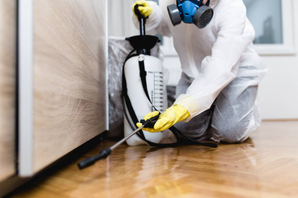 Best Best Pest Control Companies  in Westwood, PA