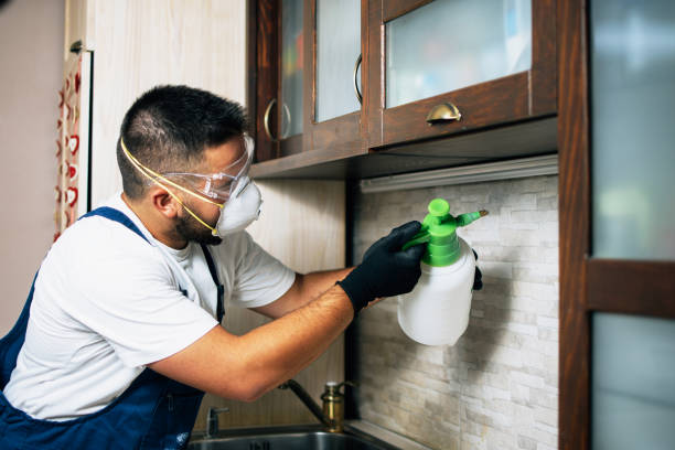 Wildlife Control Services in Westwood, PA