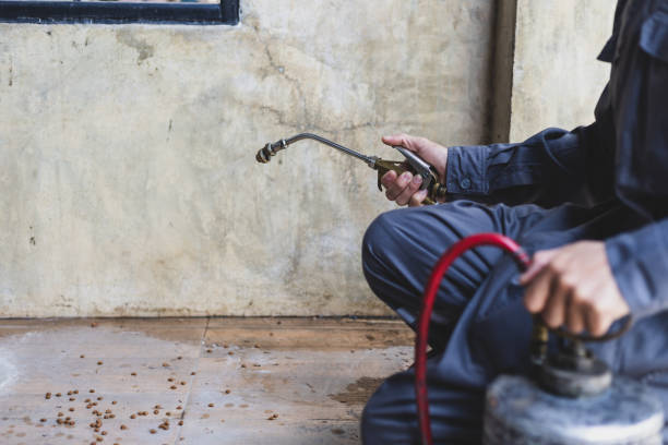 Best Wasp Removal Services  in Westwood, PA